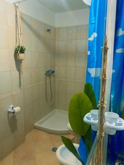 City Central Amazona Appartment Tirana Exterior photo